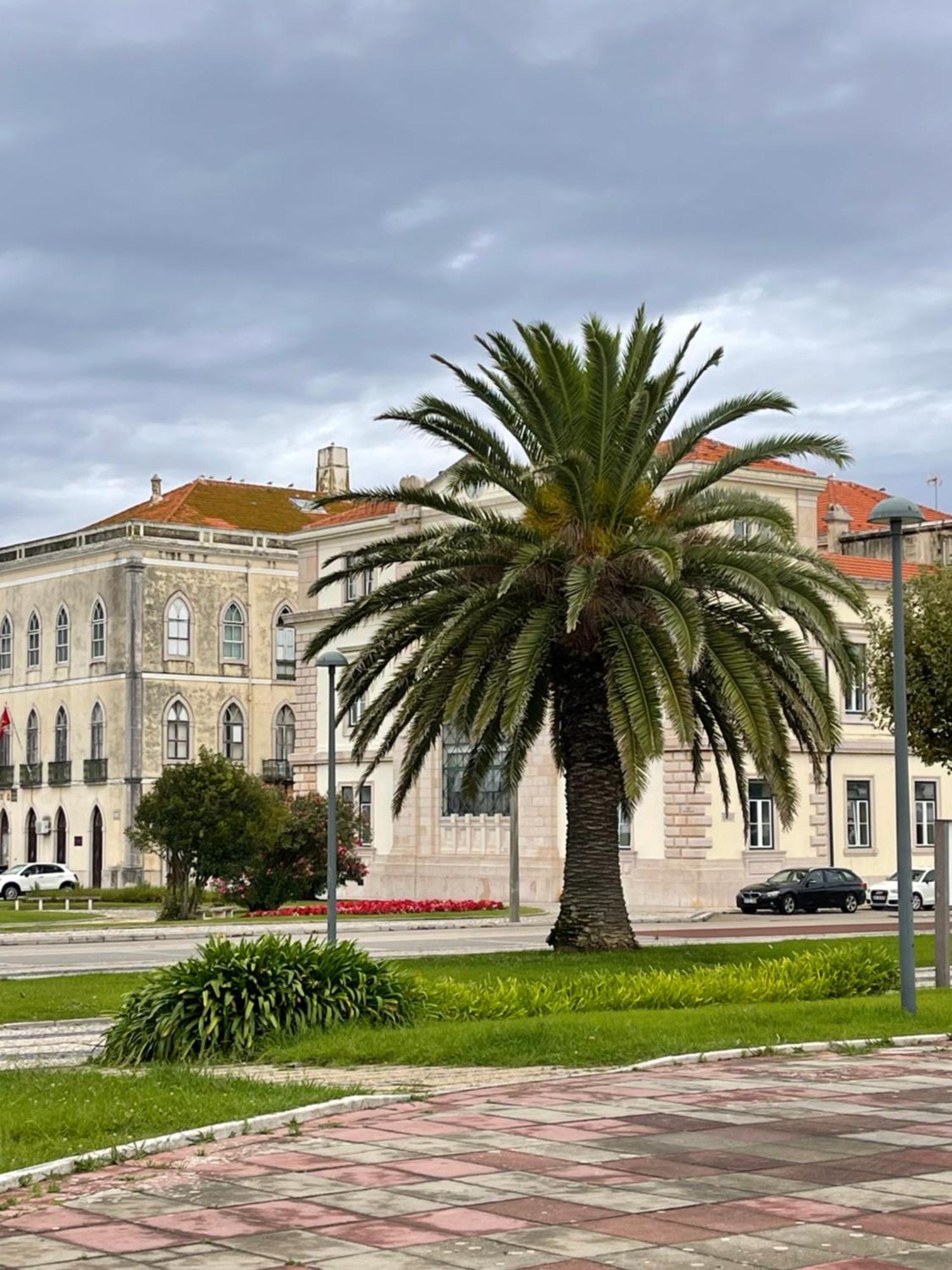 פיגואיירה דה פוז Patio Da Foz - Appartement Tres Accueillant Centre-Ville מראה חיצוני תמונה